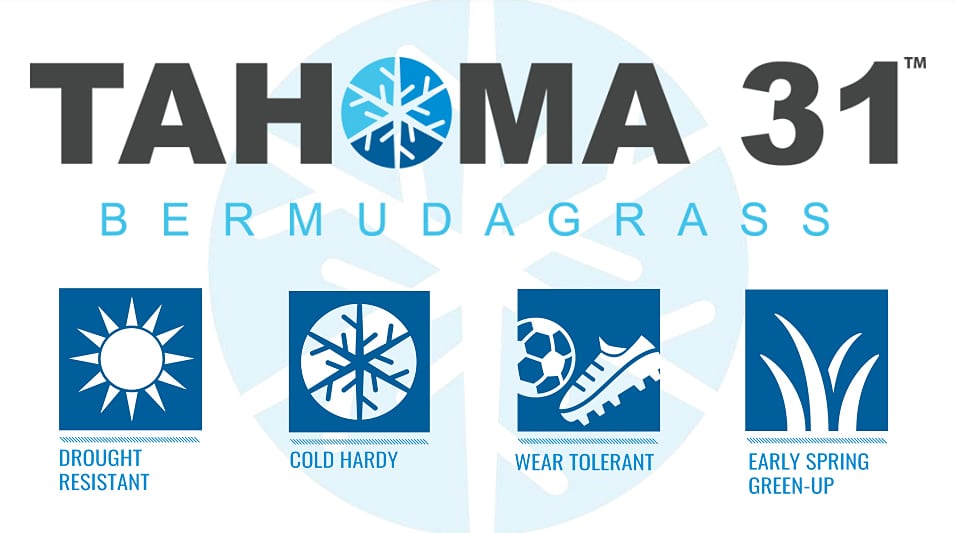 tahoma-inner-banner1